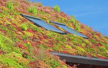 Holmewood living roof systems
